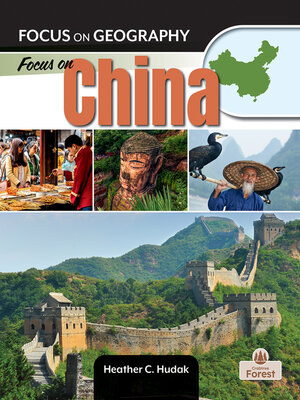 cover image of Focus on China